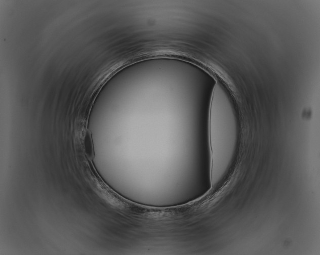 X0000091670793200708231012