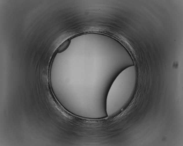 X0000091670794200708231012