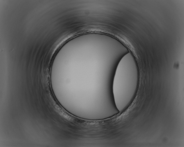 X0000091670798200708231012