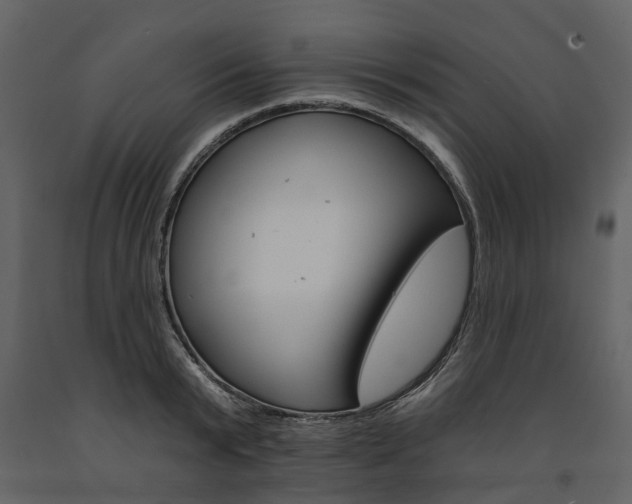 X0000091670799200708231012
