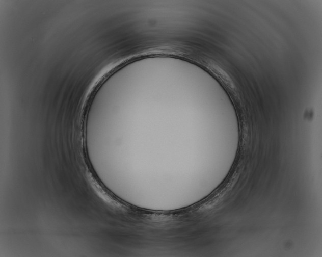 X0000091670800200708231012