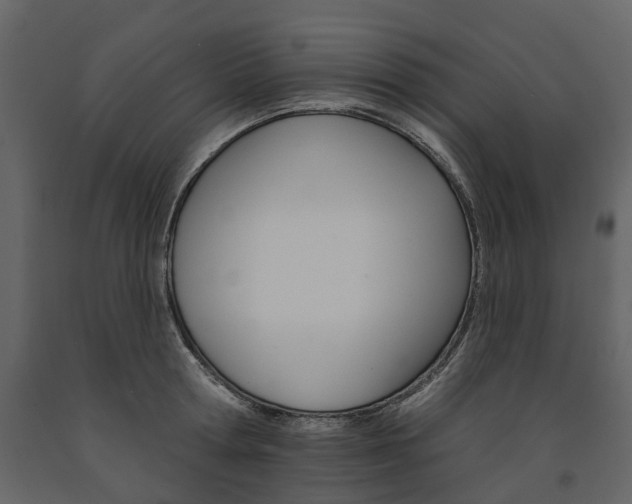 X0000091670802200708231012