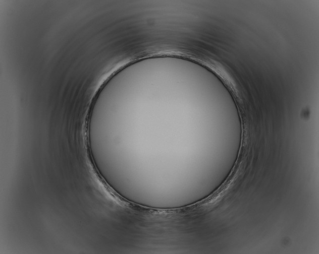 X0000091670806200708231012