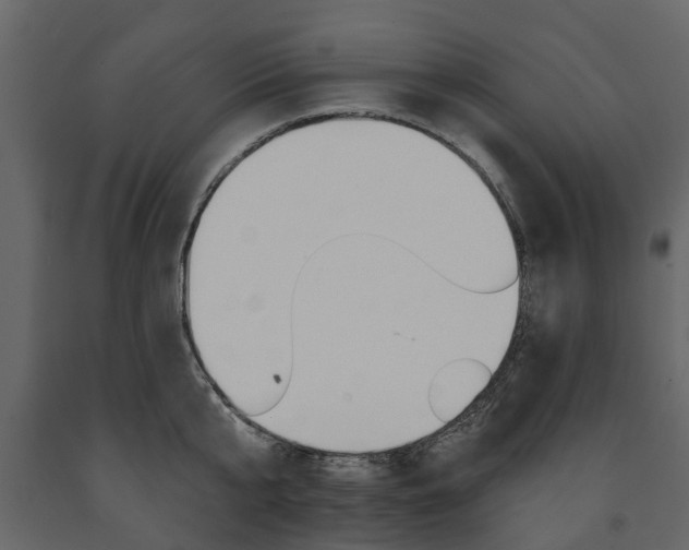 X0000091670807200708231012
