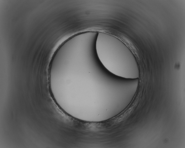 X0000091670808200708231012
