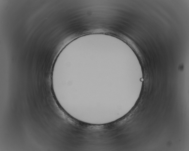 X0000091670810200708231012