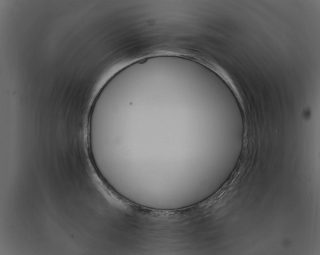 X0000091670811200708231012