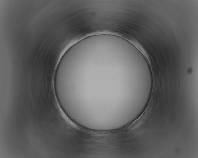 X0000091670813200708231012