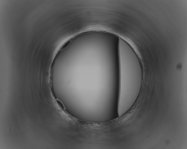 X0000091670815200708231012