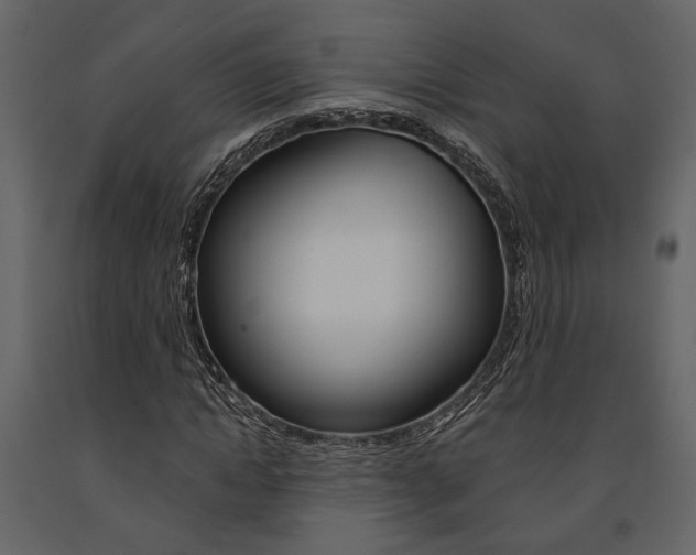 X0000091670822200708231011