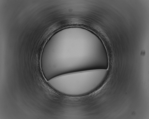 X0000091670825200708231011
