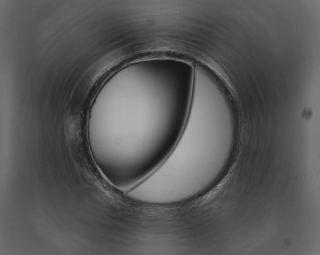 X0000091670826200708231011