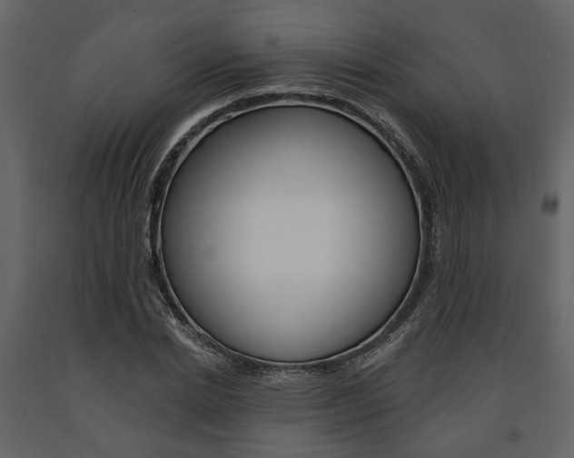 X0000091670830200708231011