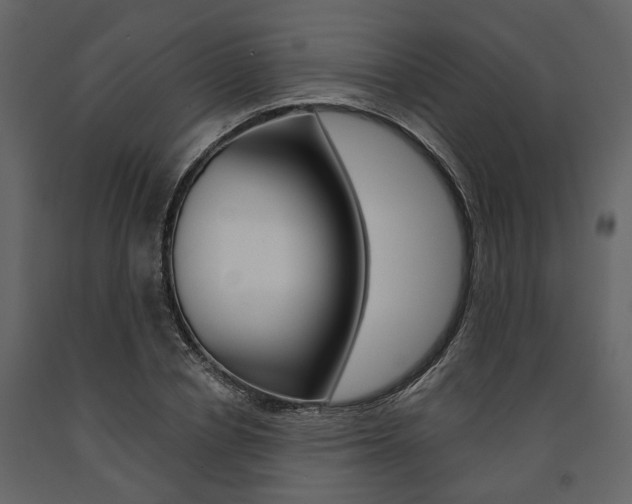 X0000091670834200708231011
