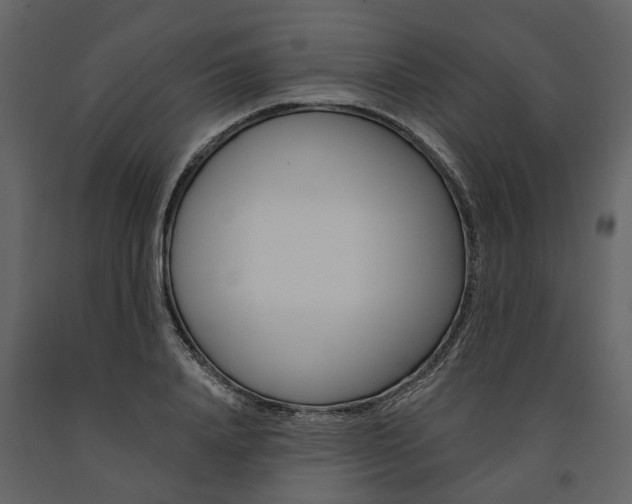 X0000091670840200708231011