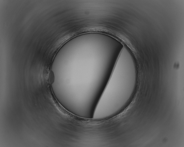X0000091670841200708231011