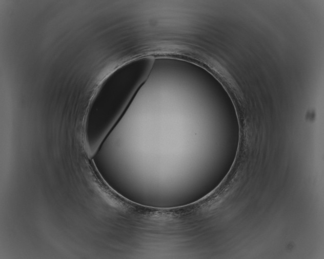 X0000091670842200708231011