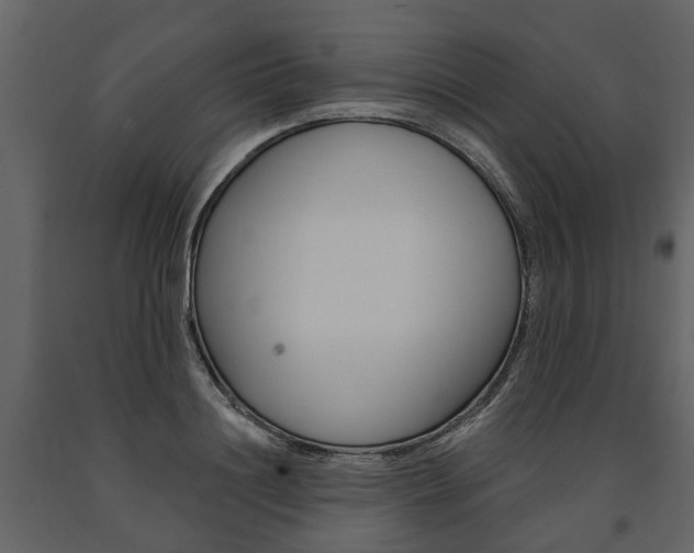 X0000091670844200708231011