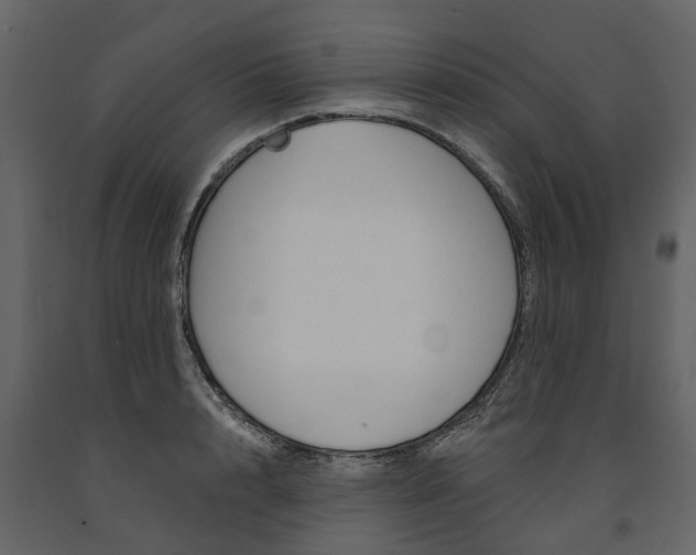 X0000091670848200708231011