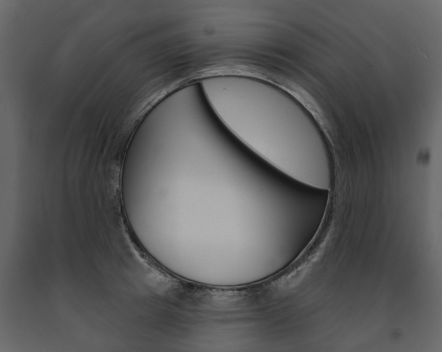 X0000091670849200708231012