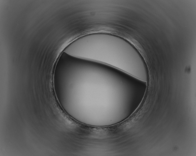 X0000091670850200708231012