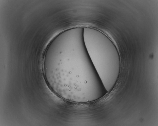 X0000091670851200708231012