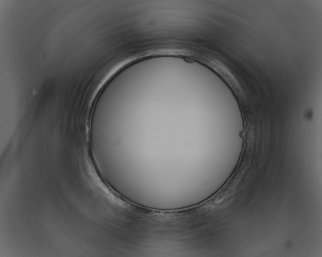 X0000091670852200708231012