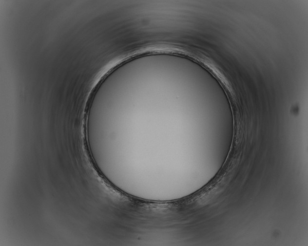 X0000091670853200708231012