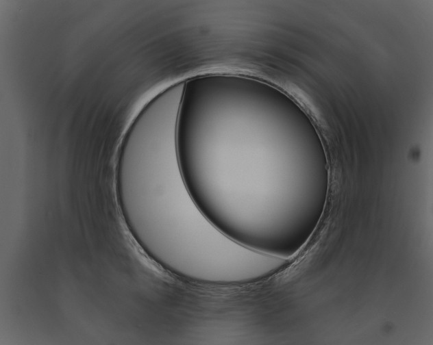 X0000091670854200708231012