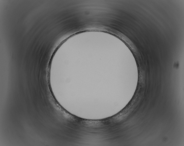 X0000091670856200708231012