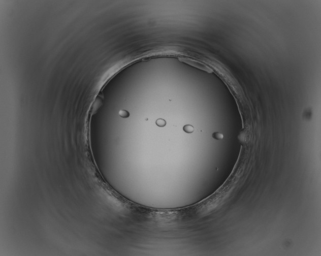 X0000091670858200708231012