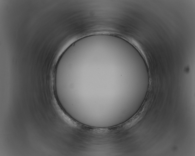 X0000091670859200708231012