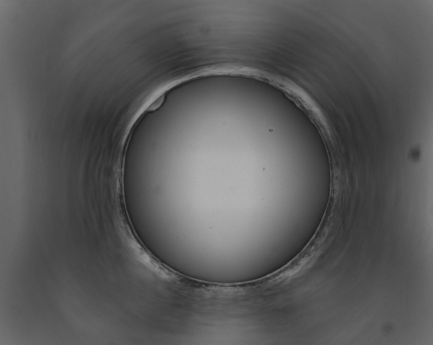 X0000091670860200708231012