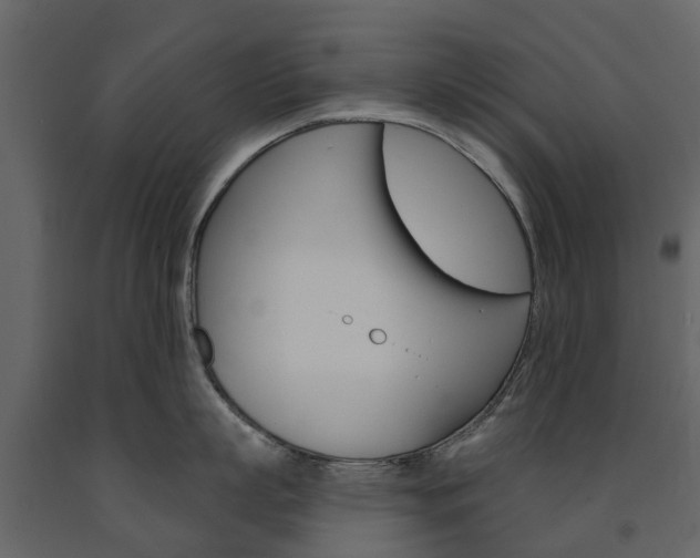 X0000091670863200708231012