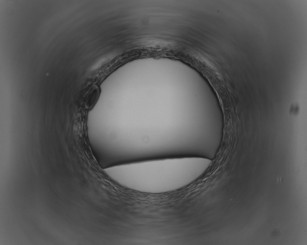X0000091670869200708231011