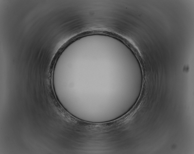 X0000091670879200708231011
