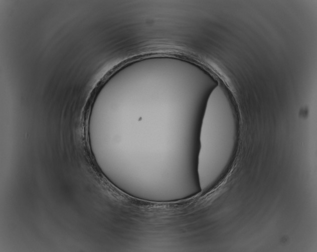 X0000091670883200708231011