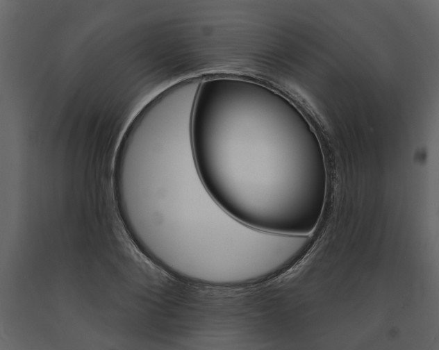 X0000091670884200708231011