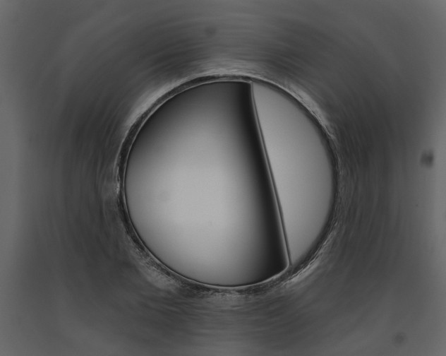 X0000091670885200708231011