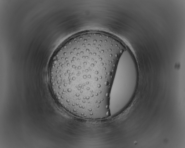 X0000091670887200708231011