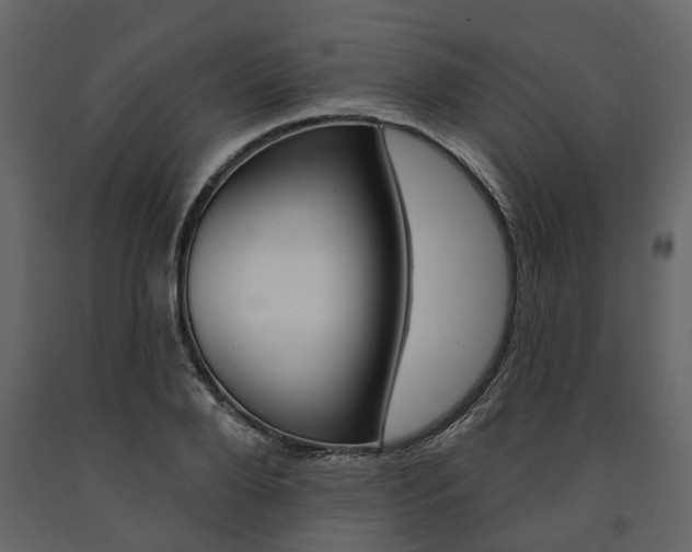 X0000091670888200708231011