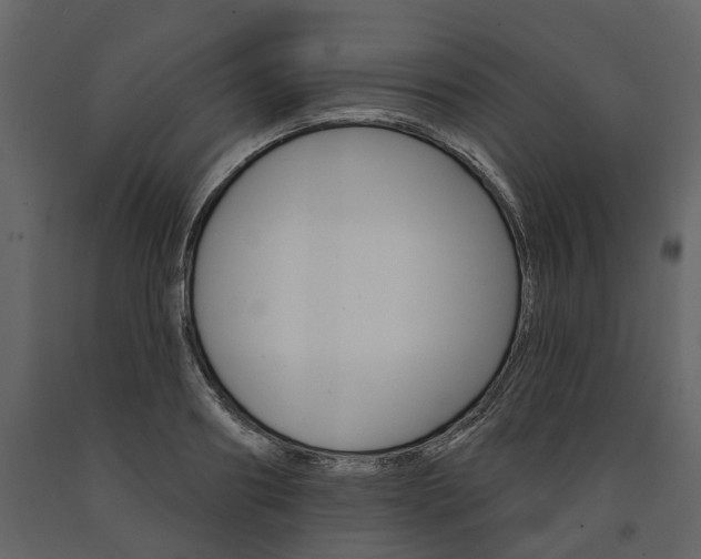 X0000091670890200708231011