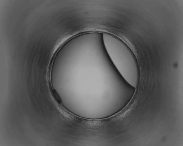 X0000091670893200708231011
