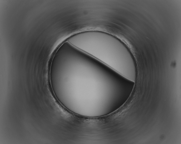 X0000091670894200708231010