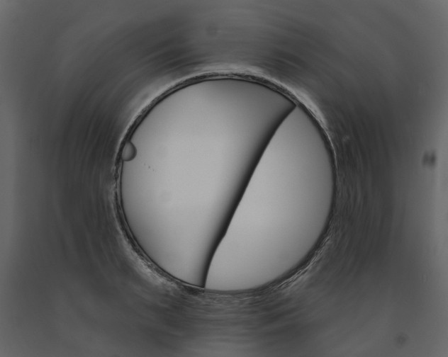 X0000091670895200708231010