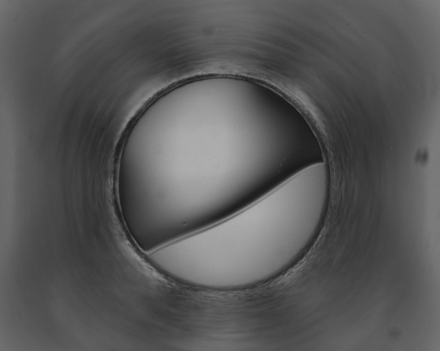 X0000091670896200708231010