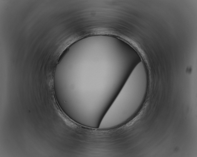 X0000091670897200708231010