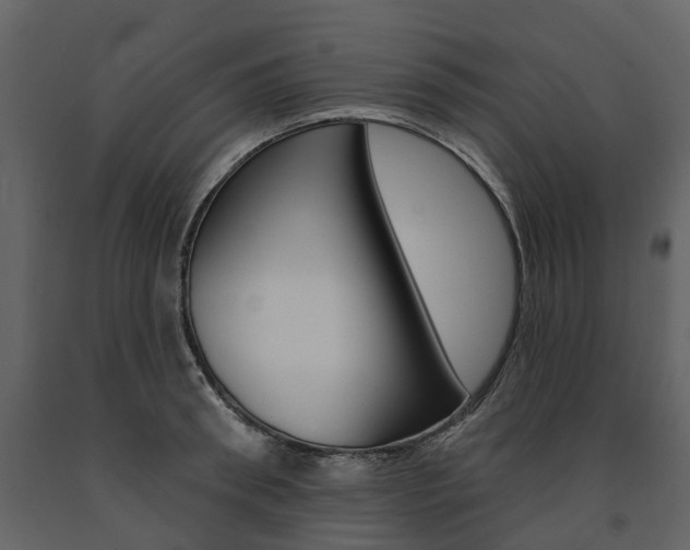 X0000091670898200708231010
