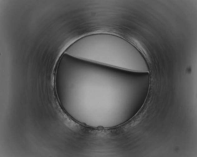 X0000091670900200708231010