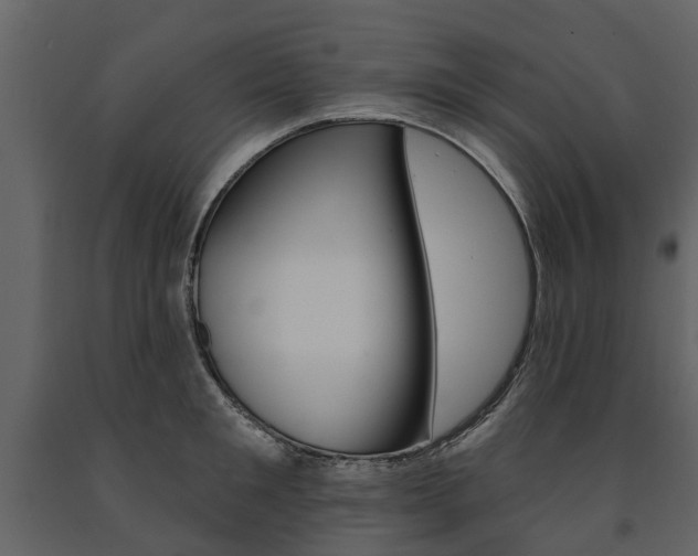 X0000091670901200708231010